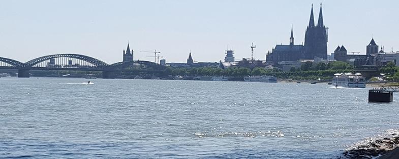 Dom und Rhein
