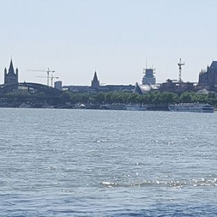 Dom und Rhein