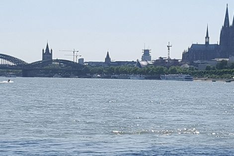 Dom und Rhein