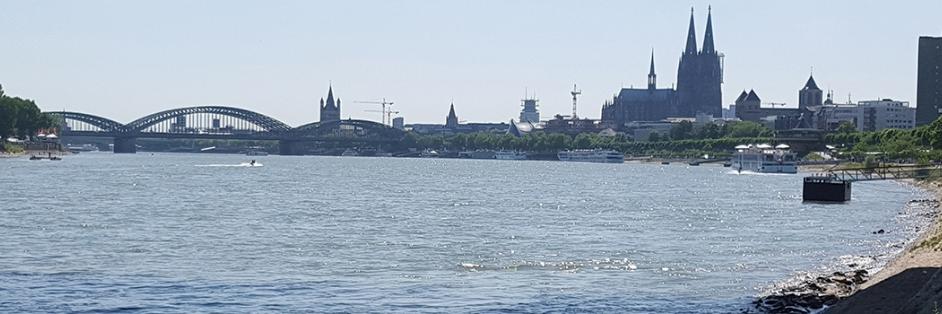 Dom und Rhein