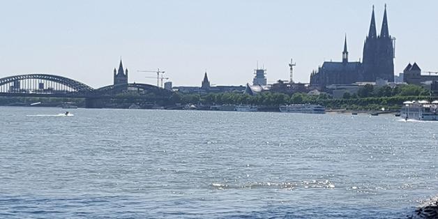 Dom und Rhein